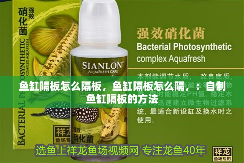 魚缸隔板怎么隔板，魚缸隔板怎么隔，：自制魚缸隔板的方法