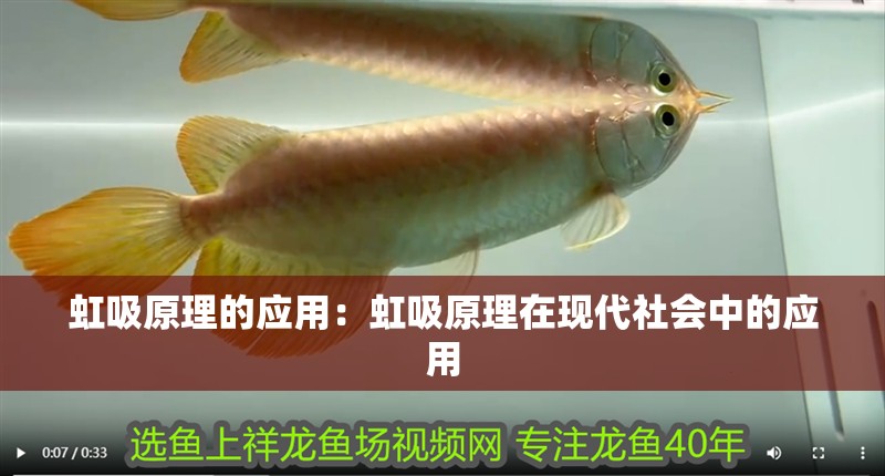 虹吸原理的應用：虹吸原理在現代社會中的應用