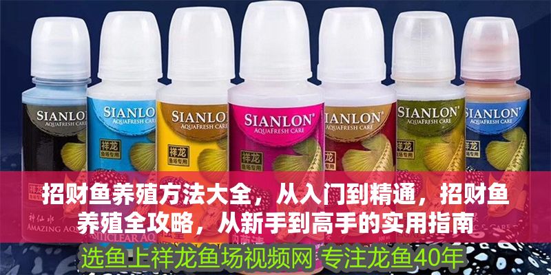 招財魚養(yǎng)殖方法大全，從入門到精通，招財魚養(yǎng)殖全攻略，從新手到高手的實用指南