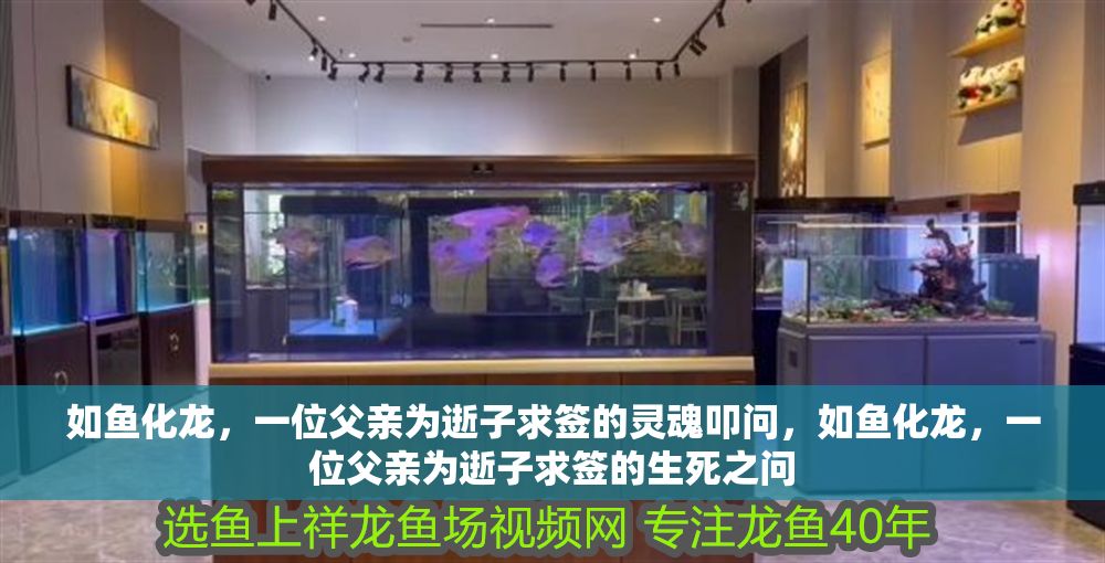 如魚化龍,一位父親為逝子求簽的靈魂叩問,如魚化龍,一位父親為逝子求簽的生死之問 龍魚百科 第1張 如魚化龍,一位父親為逝子求簽的靈魂叩問,如魚化龍,一位父親為逝子求簽的生死之問 如魚化龍,一位父親為逝子求簽的靈魂叩問,如魚化龍,一位父親為逝子求簽的生死之問 龍魚百科 第1張