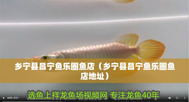 鄉(xiāng)寧縣昌寧魚樂圈魚店（鄉(xiāng)寧縣昌寧魚樂圈魚店地址）