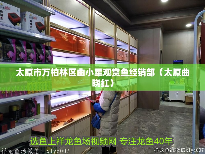 太原市萬柏林區(qū)曲小軍觀賞魚經(jīng)銷部（太原曲曉紅） 太原市萬柏林區(qū)曲小軍觀賞魚經(jīng)銷部（太原曲曉紅） 全國水族館企業(yè)名錄