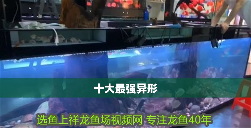 十大最強異形 十大最強異形 龍魚論壇