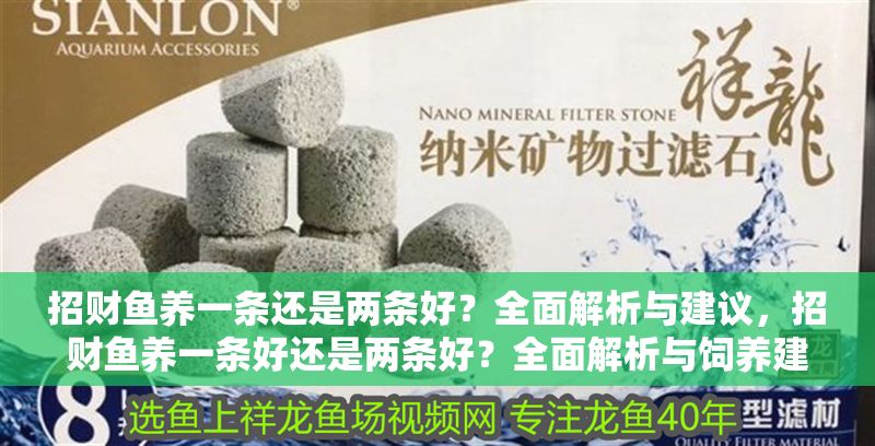 招財(cái)魚(yú)養(yǎng)一條還是兩條好？全面解析與建議，招財(cái)魚(yú)養(yǎng)一條好還是兩條好？全面解析與飼養(yǎng)建議
