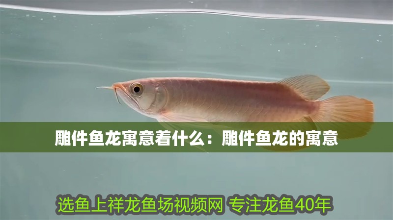 雕件魚龍?jiān)⒁庵裁矗旱窦~龍的寓意
