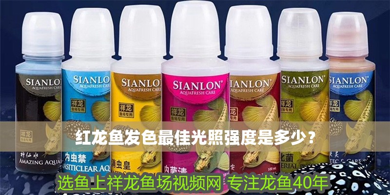 紅龍魚發(fā)色最佳光照強(qiáng)度是多少？