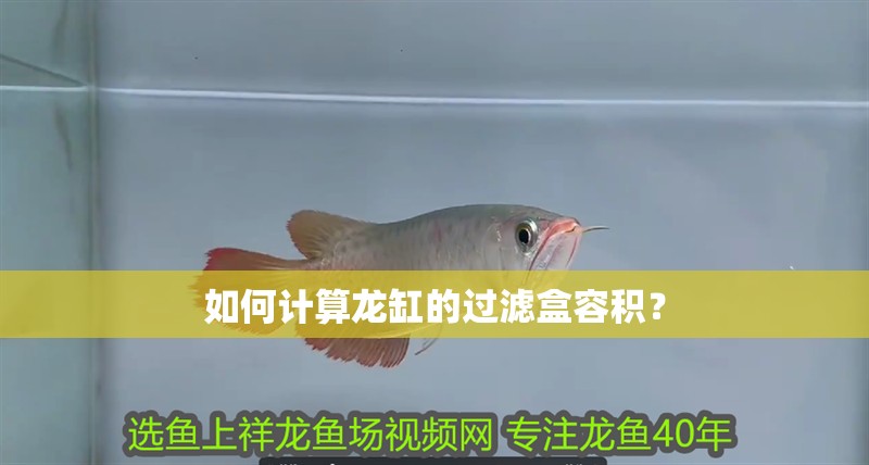 如何計算龍缸的過濾盒容積？ 如何計算龍缸的過濾盒容積？ 龍魚百科