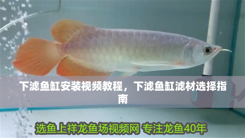 下濾魚缸安裝視頻教程，下濾魚缸濾材選擇指南 下濾魚缸安裝視頻教程，下濾魚缸濾材選擇指南 魚缸百科