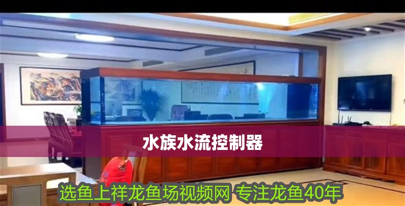 水族水流控制器 水族水流控制器 龍魚(yú)論壇
