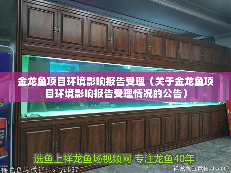 金龍魚項目環境影響報告受理（關于金龍魚項目環境影響報告受理情況的公告） 金龍魚項目環境影響報告受理（關于金龍魚項目環境影響報告受理情況的公告） 龍魚百科