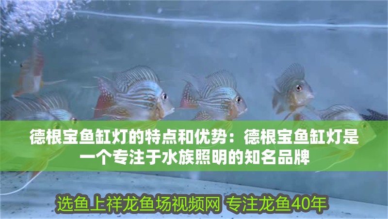德根寶魚缸燈的特點(diǎn)和優(yōu)勢：德根寶魚缸燈是一個(gè)專注于水族照明的知名品牌