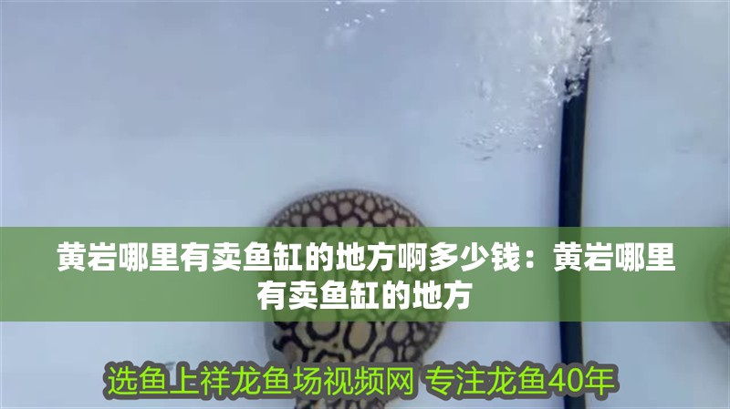 黃巖哪里有賣魚缸的地方啊多少錢：黃巖哪里有賣魚缸的地方 黃巖哪里有賣魚缸的地方啊多少錢：黃巖哪里有賣魚缸的地方 魚缸百科