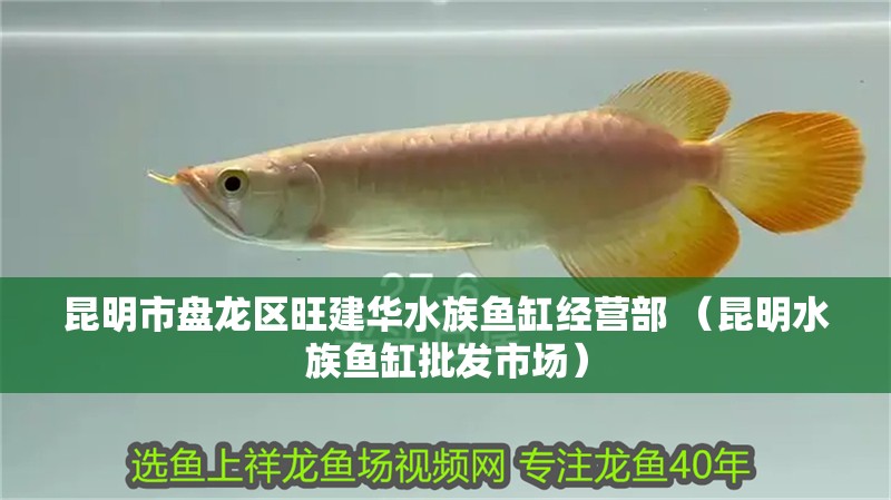 昆明市盤龍區(qū)旺建華水族魚缸經(jīng)營部 （昆<strong><mark>明水</mark></strong>族魚缸批發(fā)市場）