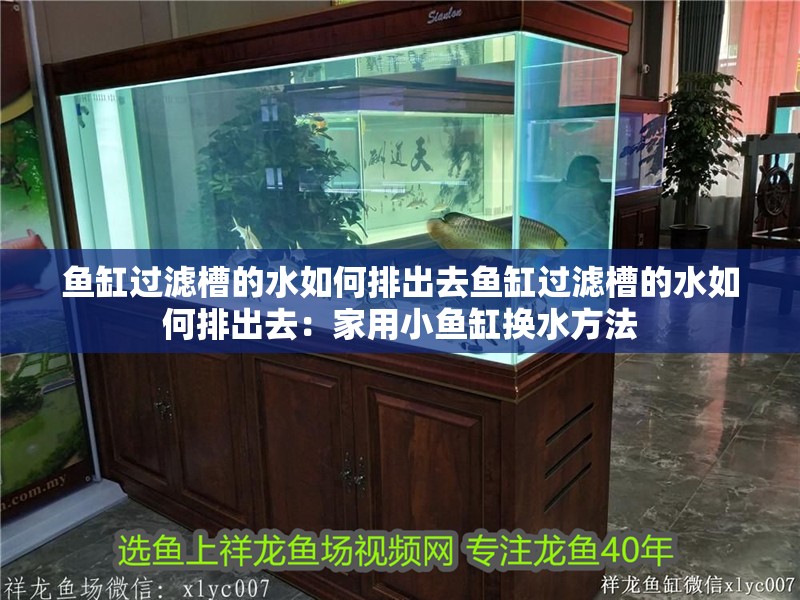 魚缸過濾槽的水如何排出去魚缸過濾槽的水如何排出去：家用小魚缸換水方法