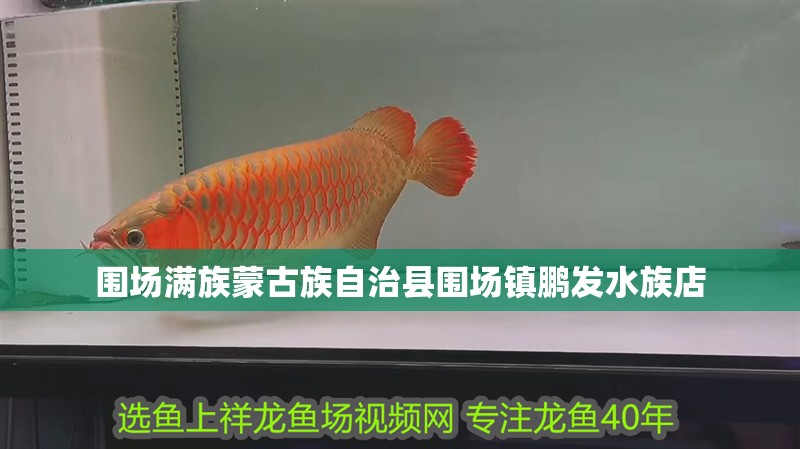 圍場滿族蒙古族自治縣圍場鎮鵬發水族店