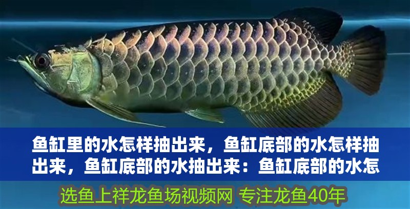 魚(yú)缸里的水怎樣抽出來(lái)，魚(yú)缸底部的水怎樣抽出來(lái)，魚(yú)缸底部的水抽出來(lái)：魚(yú)缸底部的水怎樣抽出來(lái)，魚(yú)缸里的水怎樣抽出來(lái)，魚(yú)缸底部的水抽出來(lái)