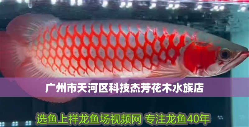廣州市天河區(qū)科技杰芳花木水族店