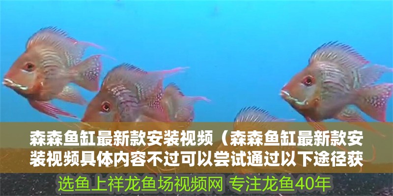 森森魚缸最新款安裝視頻（森森魚缸最新款安裝視頻具體內容不過可以嘗試通過以下途徑獲取）