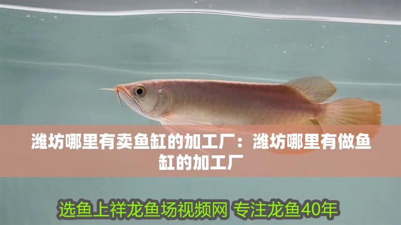 濰坊哪里有賣魚缸的加工廠：濰坊哪里有做魚缸的加工廠