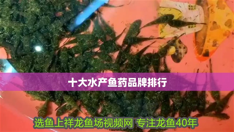 十大水產魚藥品牌排行