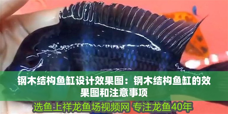鋼木結(jié)構(gòu)魚缸設(shè)計(jì)效果圖：鋼木結(jié)構(gòu)魚缸的效果圖和注意事項(xiàng)