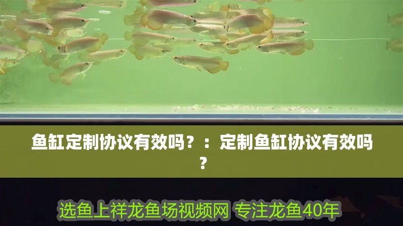 魚缸定制協議有效嗎？：定制魚缸協議有效嗎？