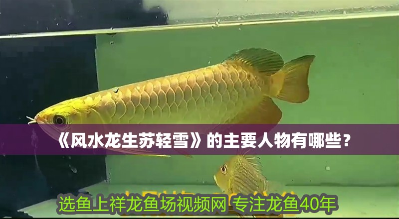 《風水龍生蘇輕雪》的主要人物有哪些？