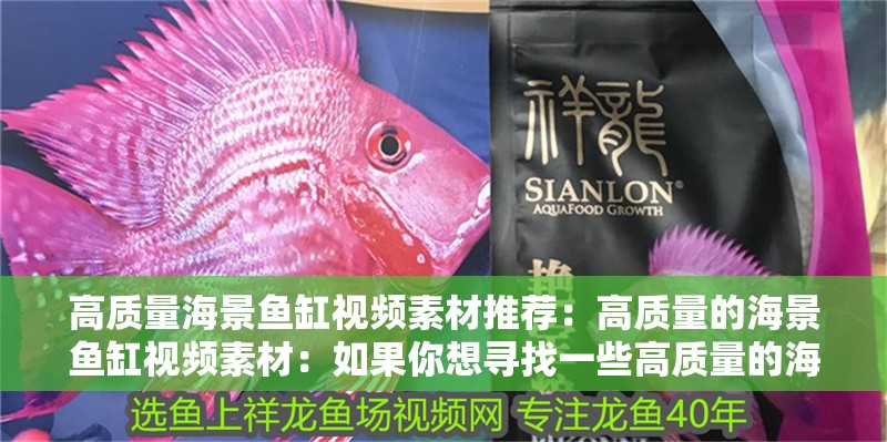 高質(zhì)量海景魚缸視頻素材推薦：高質(zhì)量的海景魚缸視頻素材：如果你想尋找一些高質(zhì)量的海景魚缸視頻素材