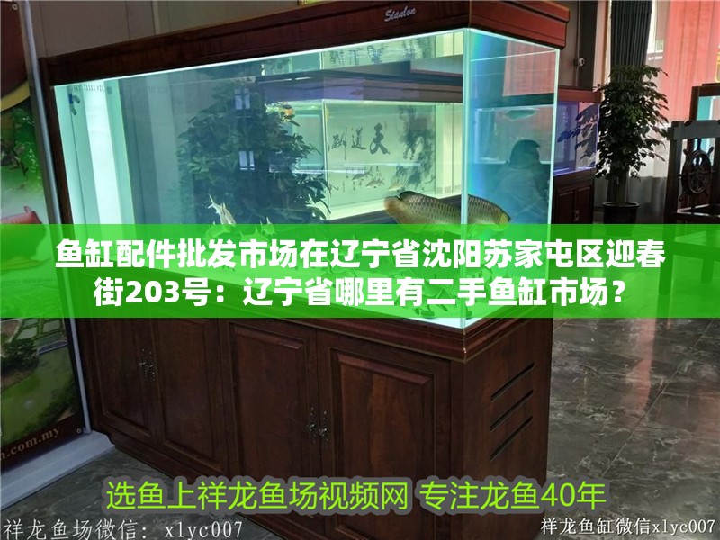 魚缸配件批發市場在遼寧省沈陽蘇家屯區迎春街203號：遼寧省哪里有二手魚缸市場？