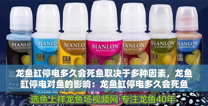 龍魚缸停電多久會死魚取決于多種因素，龍魚缸停電對魚的影響：龍魚缸停電多久會死魚 龍魚缸停電多久會死魚取決于多種因素，龍魚缸停電對魚的影響：龍魚缸停電多久會死魚 龍魚百科