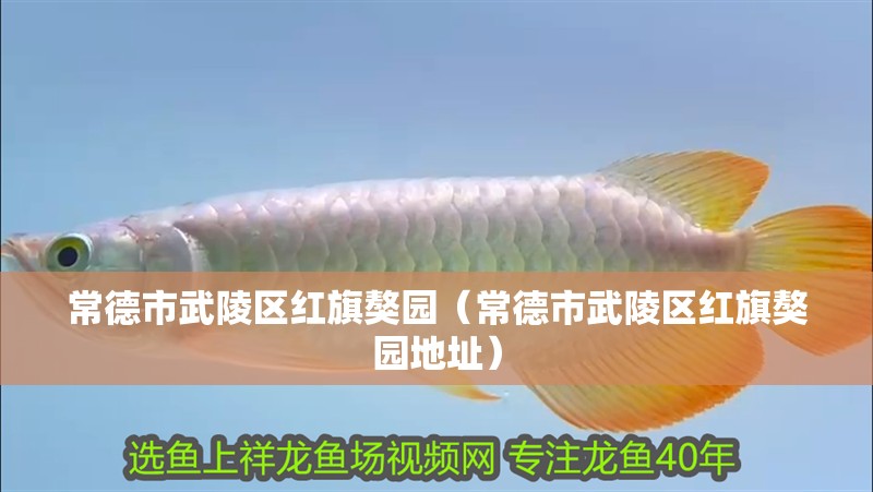 常德市<strong><mark>武陵</mark></strong>區紅旗獒園（常德市<strong><mark>武陵</mark></strong>區紅旗獒園地址）