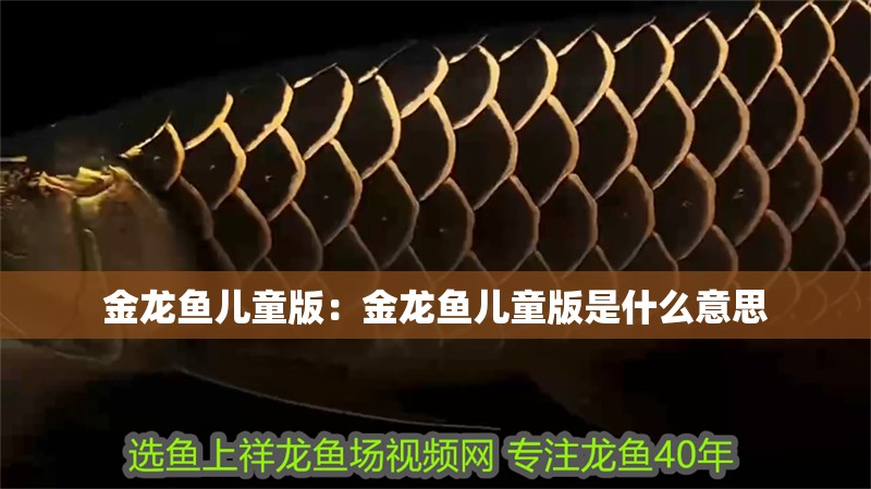 金龍魚(yú)兒童版：金龍魚(yú)兒童版是什么意思