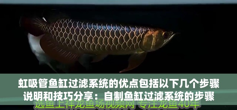虹吸管魚缸過濾系統(tǒng)的優(yōu)點包括以下幾個步驟說明和技巧分享：自制魚缸過濾系統(tǒng)的步驟 虹吸管魚缸過濾系統(tǒng)的優(yōu)點包括以下幾個步驟說明和技巧分享：自制魚缸過濾系統(tǒng)的步驟 魚缸百科
