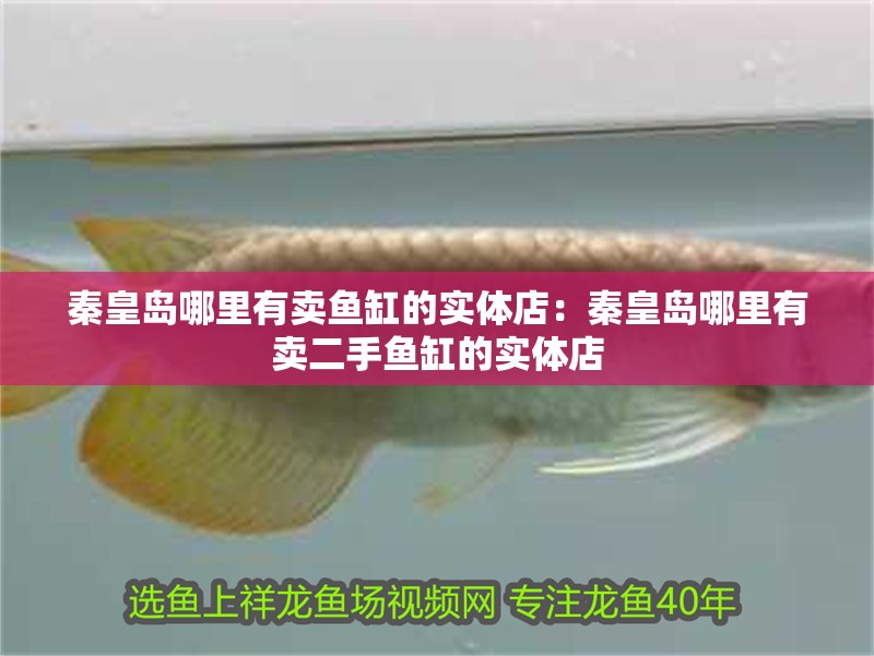 秦皇島哪里有賣魚缸的實體店：秦皇島哪里有賣二手魚缸的實體店