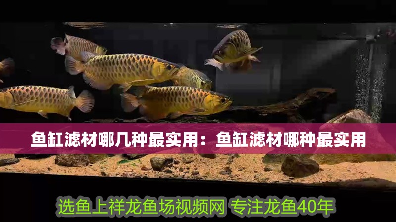 魚缸濾材哪幾種最實用：魚缸濾材哪種最實用
