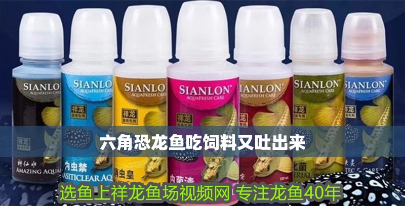六角恐龍魚吃飼料又吐出來