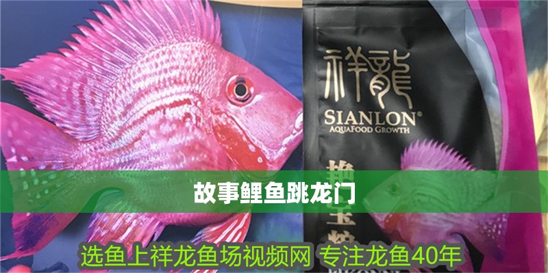 故事鯉魚跳龍門