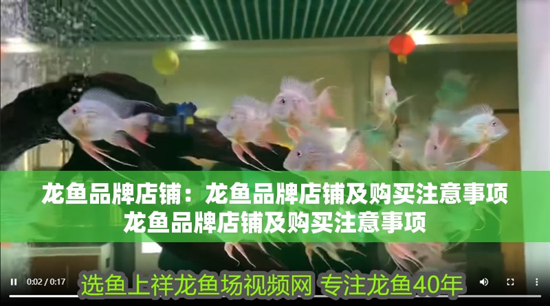 龍魚(yú)品牌店鋪：龍魚(yú)品牌店鋪及購(gòu)買注意事項(xiàng)龍魚(yú)品牌店鋪及購(gòu)買注意事項(xiàng)