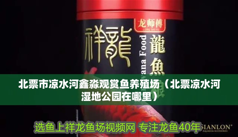 <strong><mark>北票</mark></strong>市涼水河鑫淼觀賞魚養殖場（<strong><mark>北票</mark></strong>涼水河濕地公園在哪里）