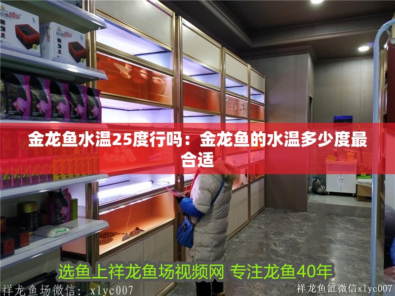 金龍魚水溫25度行嗎：金龍魚的水溫多少度最合適