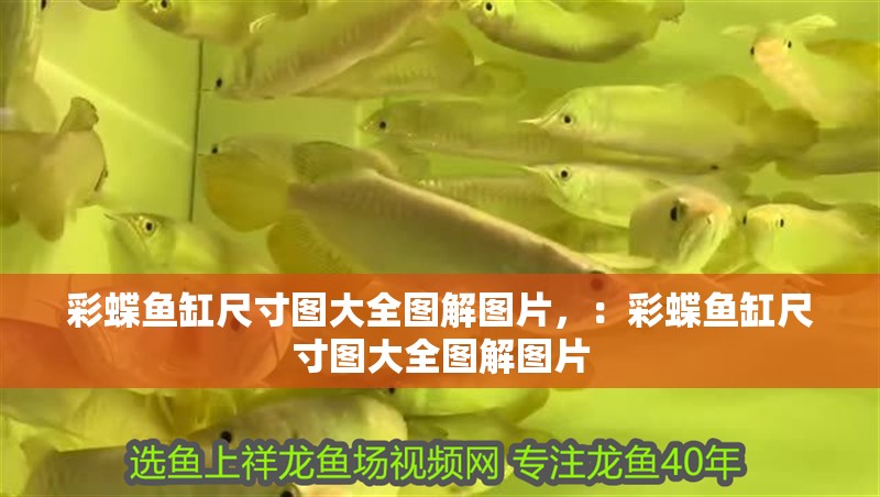 彩蝶魚缸尺寸圖大全圖解圖片，：彩蝶魚缸尺寸圖大全圖解圖片
