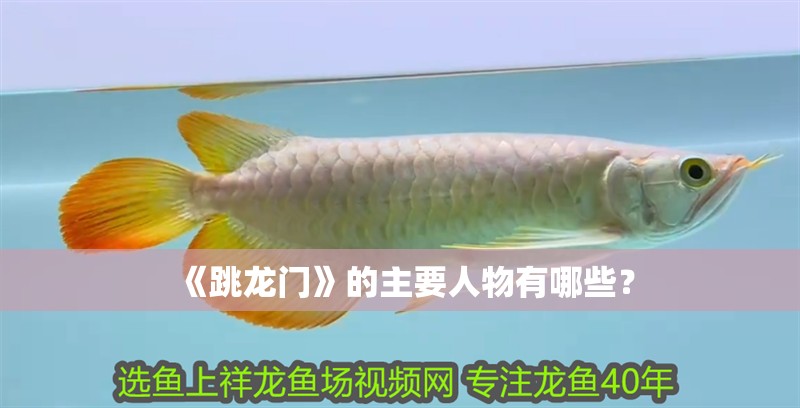 《跳龍門》的主要人物有哪些？