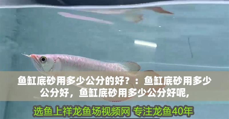 魚缸底砂用多少公分的好？：魚缸底砂用多少公分好，魚缸底砂用多少公分好呢, 魚缸底砂用多少公分的好？：魚缸底砂用多少公分好，魚缸底砂用多少公分好呢, 魚缸百科