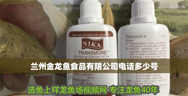 蘭州金龍魚食品有限公司電話多少號