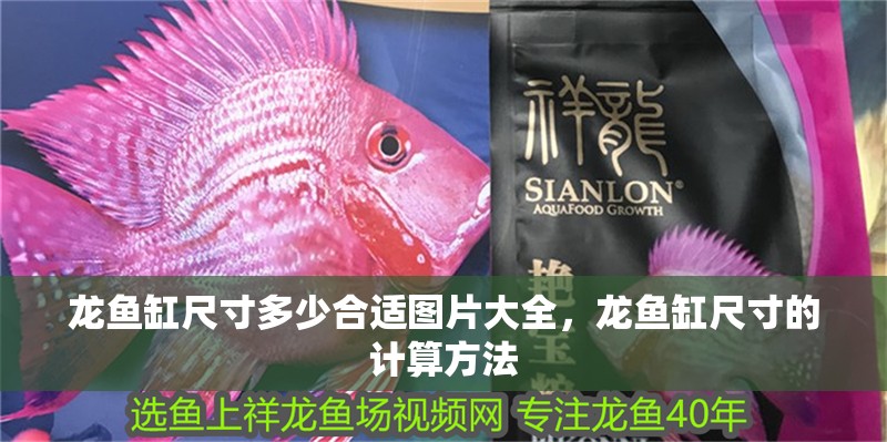 龍魚缸尺寸多少合適圖片大全，龍魚缸尺寸的計算方法