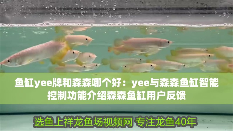 魚缸yee牌和森森哪個好：yee與森森魚缸智能控制功能介紹森森魚缸用戶反饋