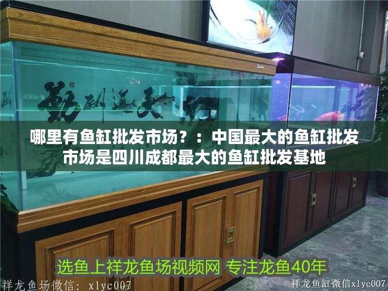 哪里有魚缸批發市場？：中國最大的魚缸批發市場是四川成都最大的魚缸批發基地