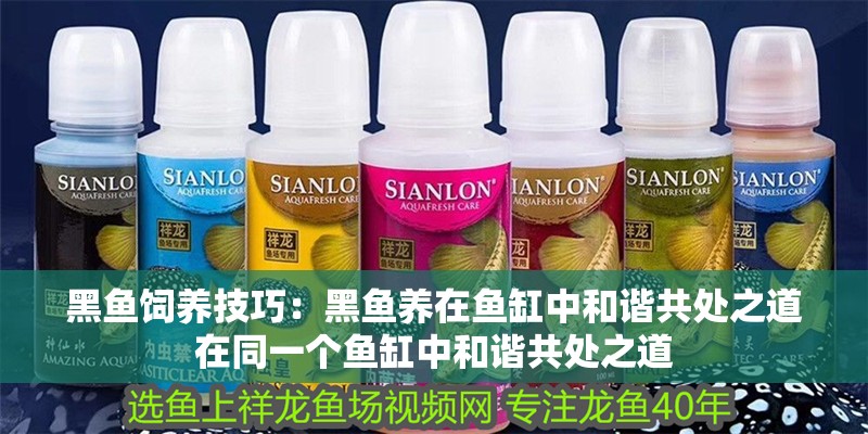 黑魚飼養技巧：黑魚養在魚缸中和諧共處之道在同一個魚缸中和諧共處之道