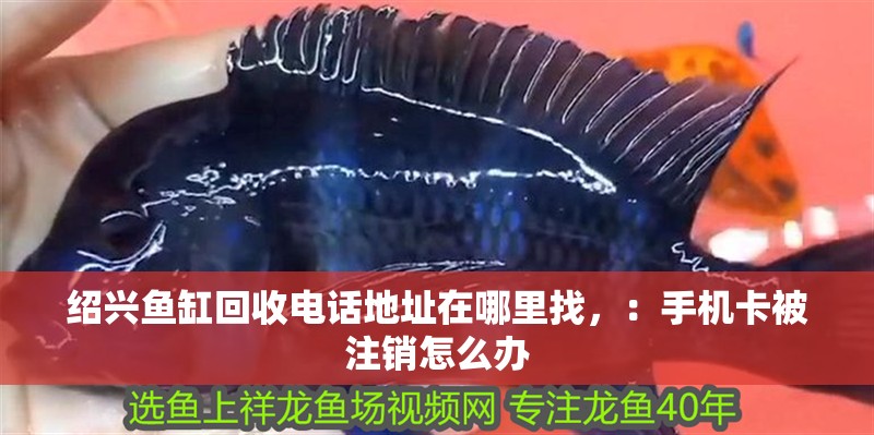 紹興魚缸回收電話地址在哪里找，：手機卡被注銷怎么辦