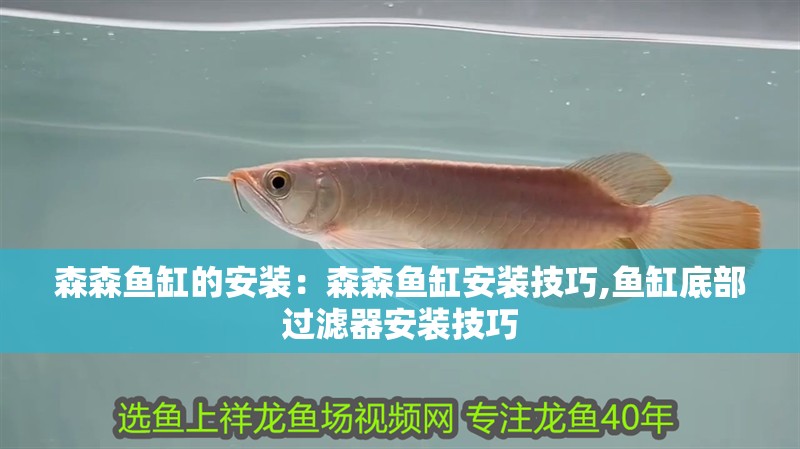 森森魚缸的安裝：森森魚缸安裝技巧,魚缸底部過濾器安裝技巧